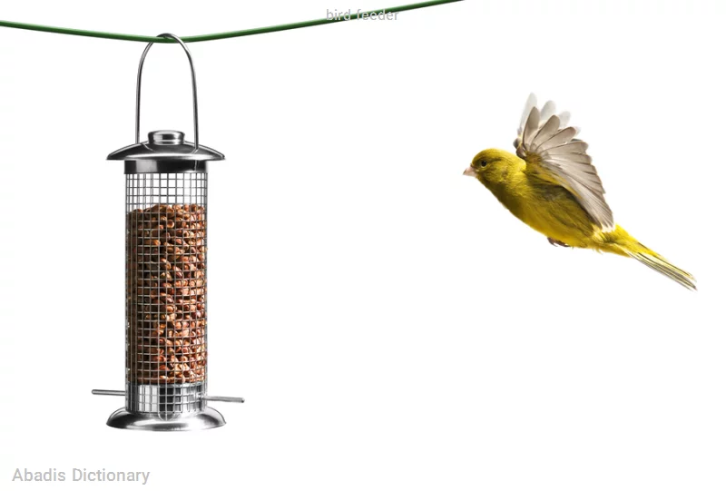 bird feeder